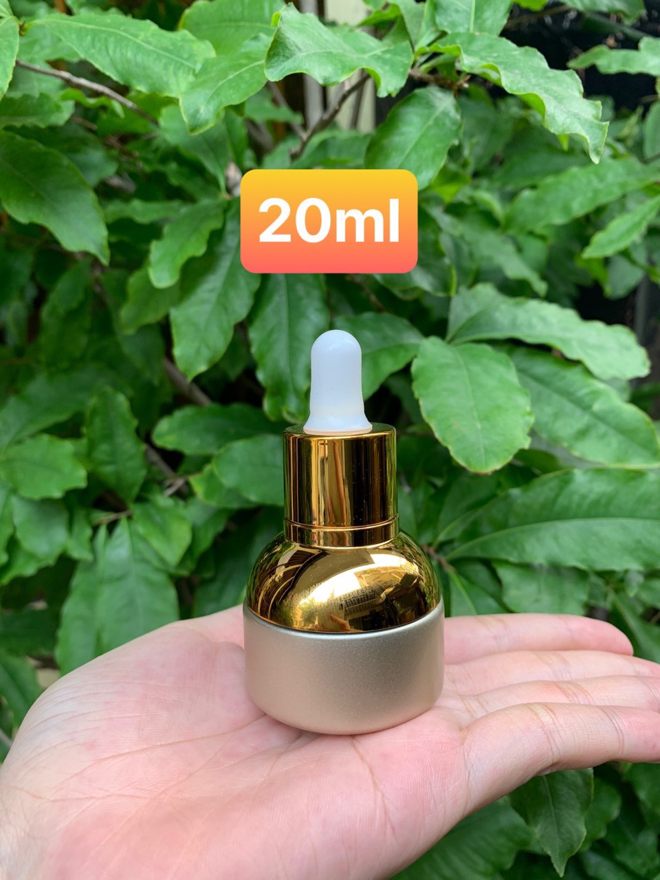 CHAI SERUM BẦU VÀNG 20ML
